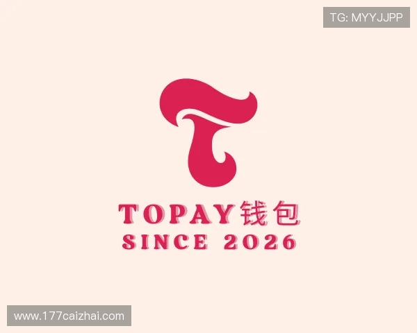 认识TOPAY钱包