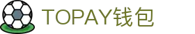 TOPAY钱包 - 安全便捷的个人财务管理工具